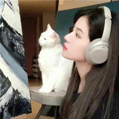 雾港回声特别篇